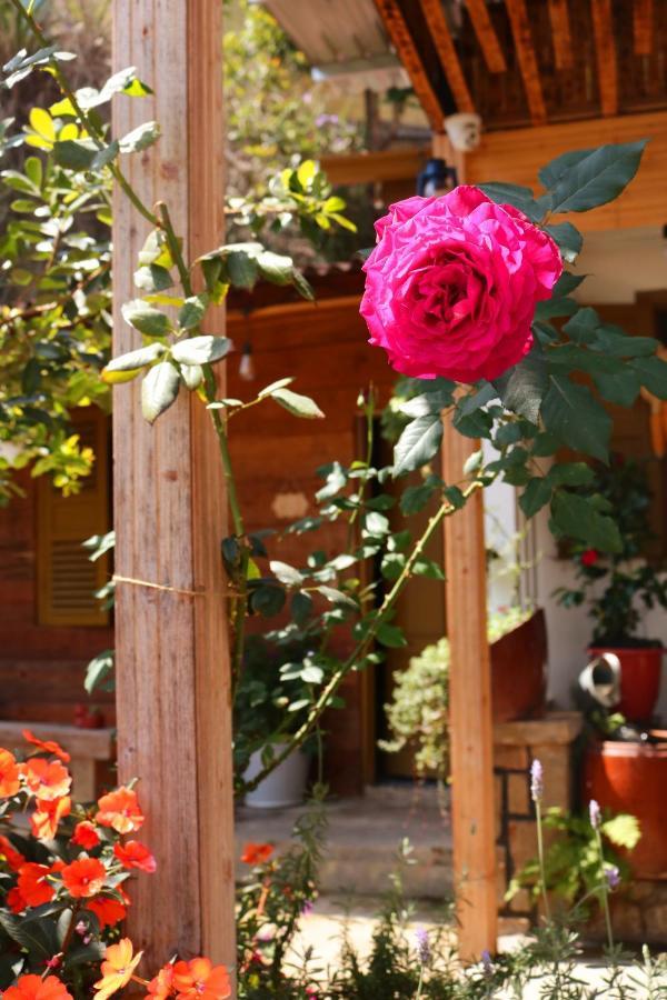 Soul Pnb Homestay Da Lat Exterior foto